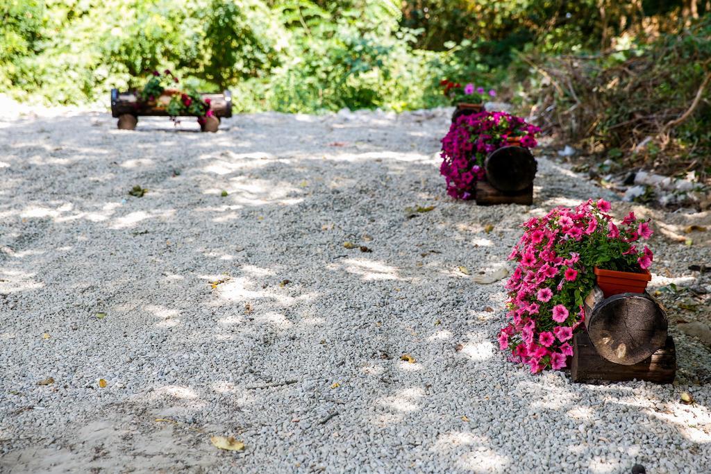 Villa Drecheva Ognyanovo  Eksteriør billede